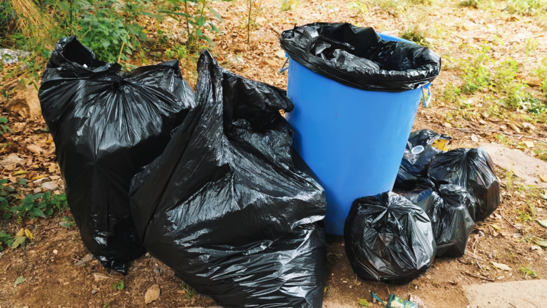 世界环境日 | 江苏PA直营开展2025公益净山活动 世界环境日 | 江苏PA直营开展2025公益净山活动