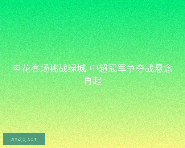 申花客场挑战绿城 中超冠军争夺战悬念再起 申花客场挑战绿城 中超冠军争夺战悬念再起