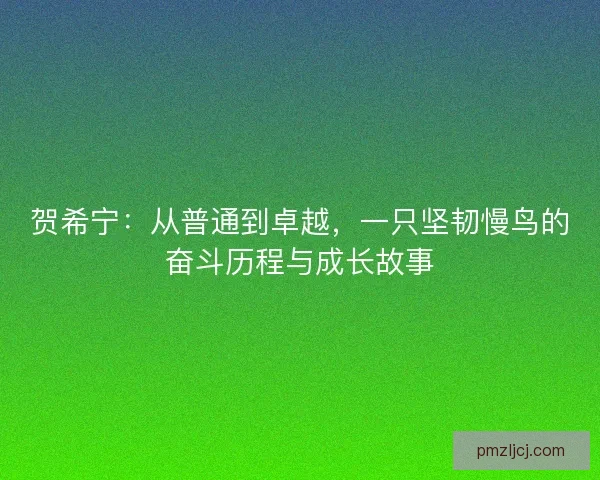 贺希宁:从普通到卓越,一只坚韧慢鸟的奋斗历程与成长故事 贺希宁:从普通到卓越,一只坚韧慢鸟的奋斗历程与成长故事