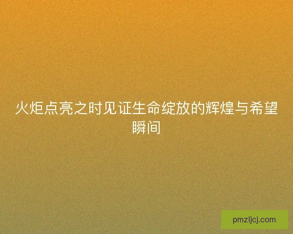 火炬点亮之时见证生命绽放的辉煌与希望瞬间